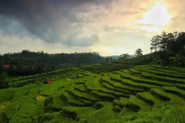 Payung Rajagaluh