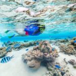 Spot Snorkeling Terbaik di Pulau Seribu