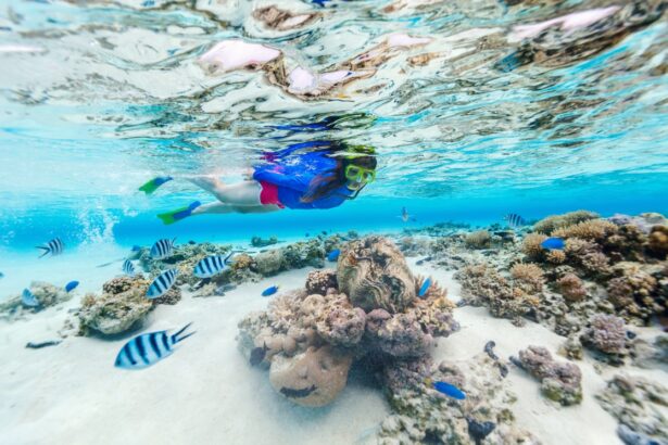 Spot Snorkeling Terbaik di Pulau Seribu
