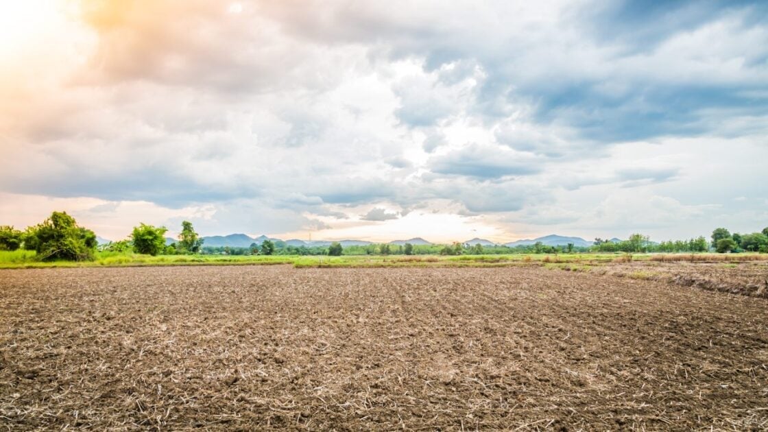 Tips Memilih Lokasi Tanah Kavling