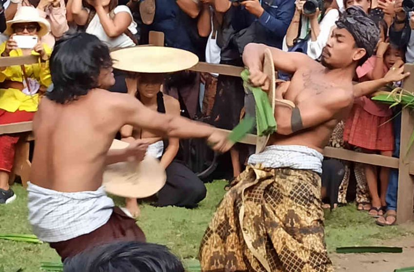 Tradisi Perang Pandan di Bali