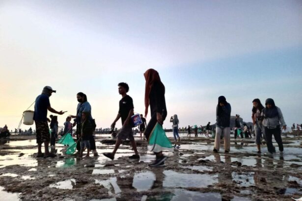Tradisi Sangkep Warige dan Bau Nyale di Lombok