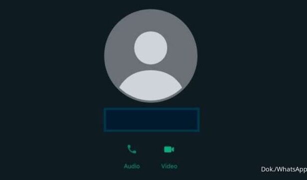 Agar Foto Profil WA Tidak Bisa Di-Screenshot