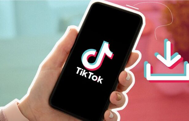 Aplikasi Downloader Video TikTok Tanpa Watermark