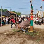 Makna Ritual Tiwah Suku Dayak