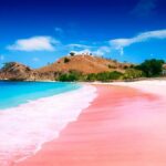 Pantai Pink Beach Labuan Bajo