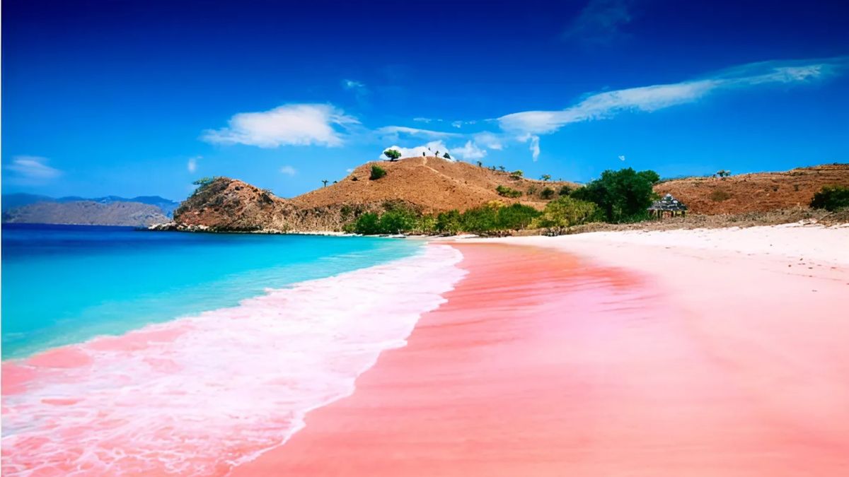 Pantai Pink Beach Labuan Bajo