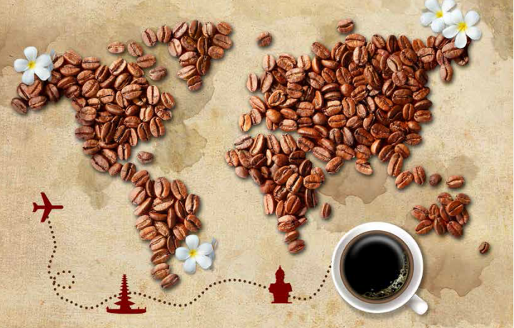 Sejarah Kopi di Indonesia dan Budaya Ngopi