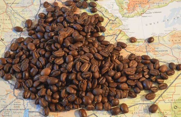 Sejarah Kopi di Indonesia dan Budaya Ngopi