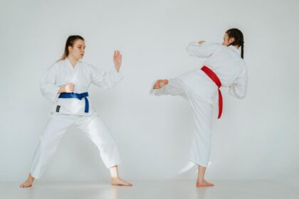 Sejarah Seni Beladiri Pencak Silat