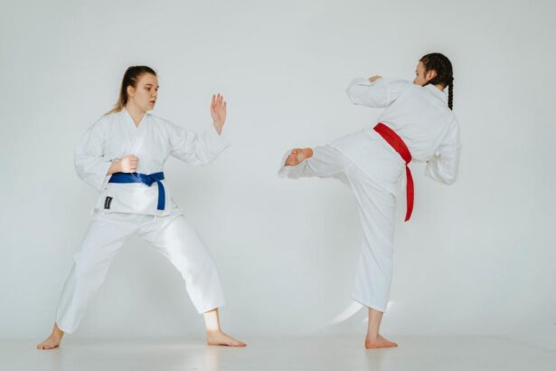 Sejarah Seni Beladiri Pencak Silat