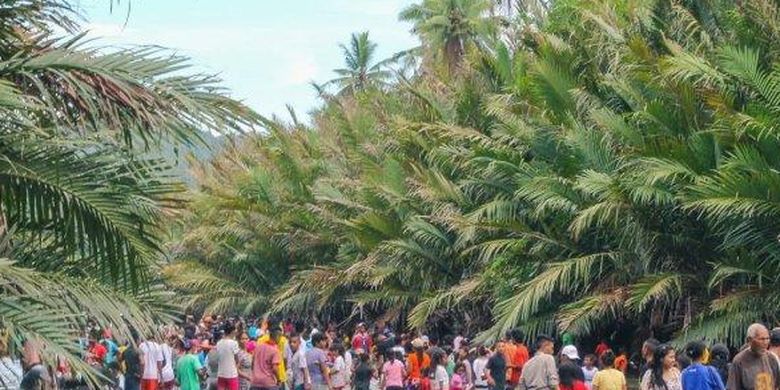 Sejarah Tradisi Sasi