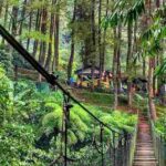 Tempat Wisata di Bogor yang Sejuk