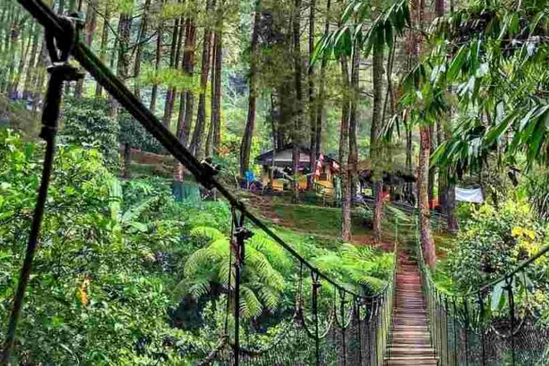 Tempat Wisata di Bogor yang Sejuk