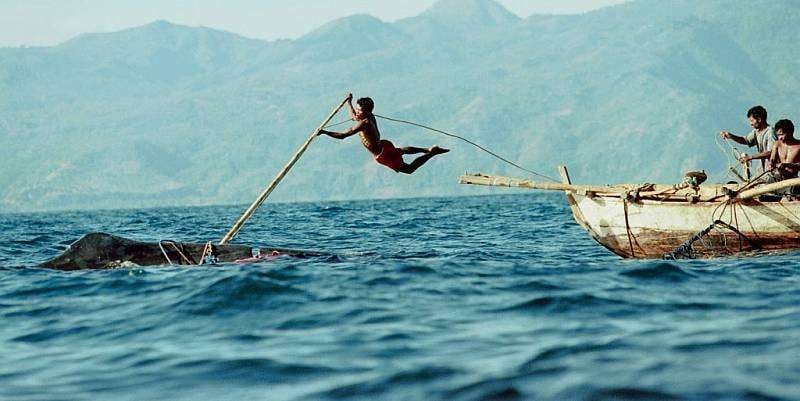 Tradisi Berburu Paus di Lamalera