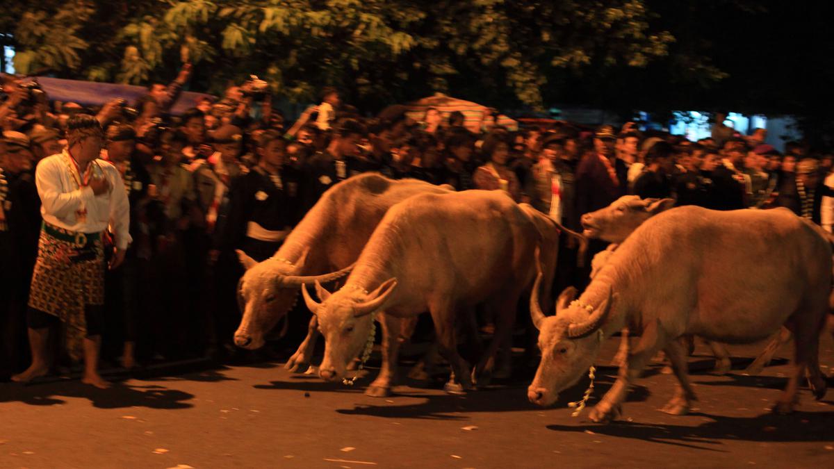 Tradisi Malam Satu Suro di Keraton Surakarta dan Yogyakarta