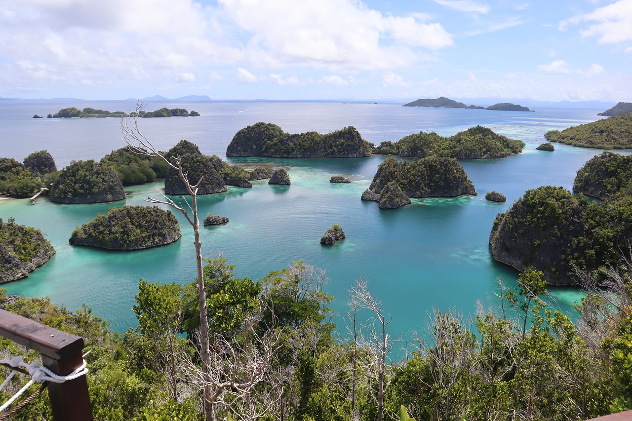 Wisata ke Raja Ampat dengan Budget Terbatas