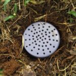 Cara Membuat Biopori di Halaman Rumah