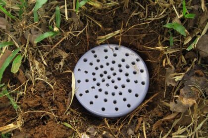 Cara Membuat Biopori di Halaman Rumah
