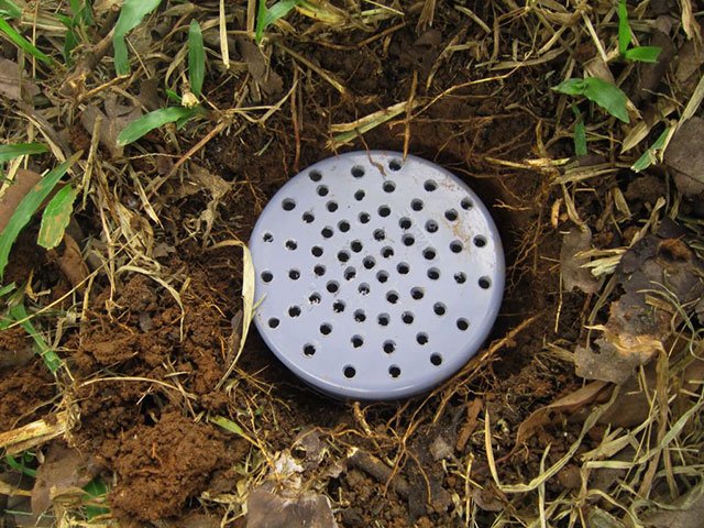 Cara Membuat Biopori di Halaman Rumah