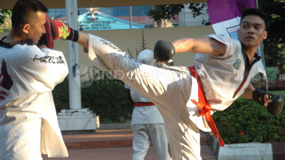Seni Bela Diri Tarung Derajat
