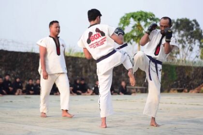Seni Bela Diri Tarung Derajat