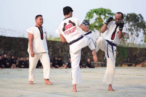 Seni Bela Diri Tarung Derajat