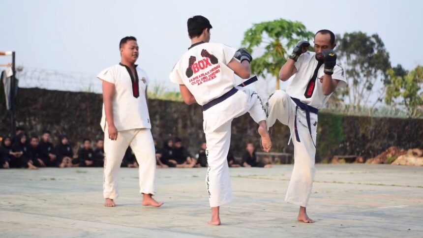 Seni Bela Diri Tarung Derajat