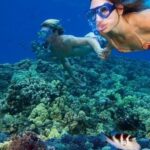 Spot Snorkeling Terbaik di Pulau Menjangan