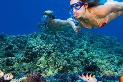 Spot Snorkeling Terbaik di Pulau Menjangan