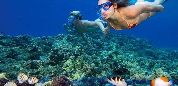 Spot Snorkeling Terbaik di Pulau Menjangan