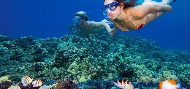 Spot Snorkeling Terbaik di Pulau Menjangan