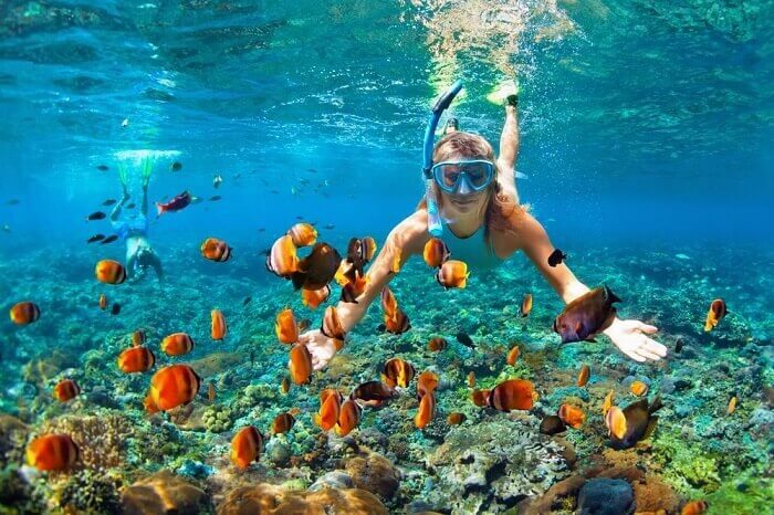 Spot Snorkeling Terbaik di Pulau Menjangan