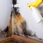 Cara Membersihkan Noda Jamur pada Dinding Kamar Mandi