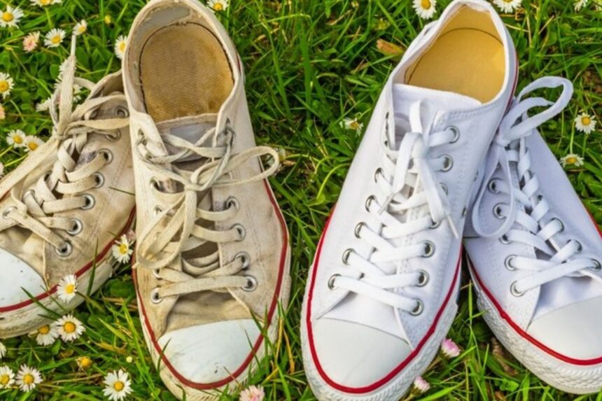 Cara Merawat Sepatu Putih Bahan Kanvas